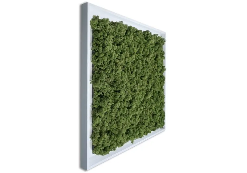 Mosschilderij Tortvak green wit