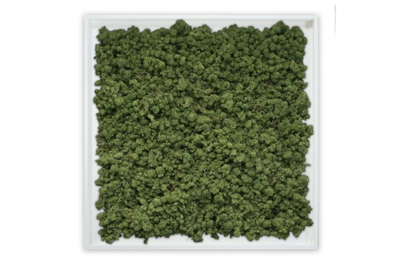 Mosschilderij Tortvak green wit product