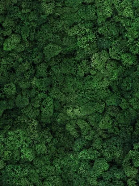 Nature at Home Tortvak Icemoss green