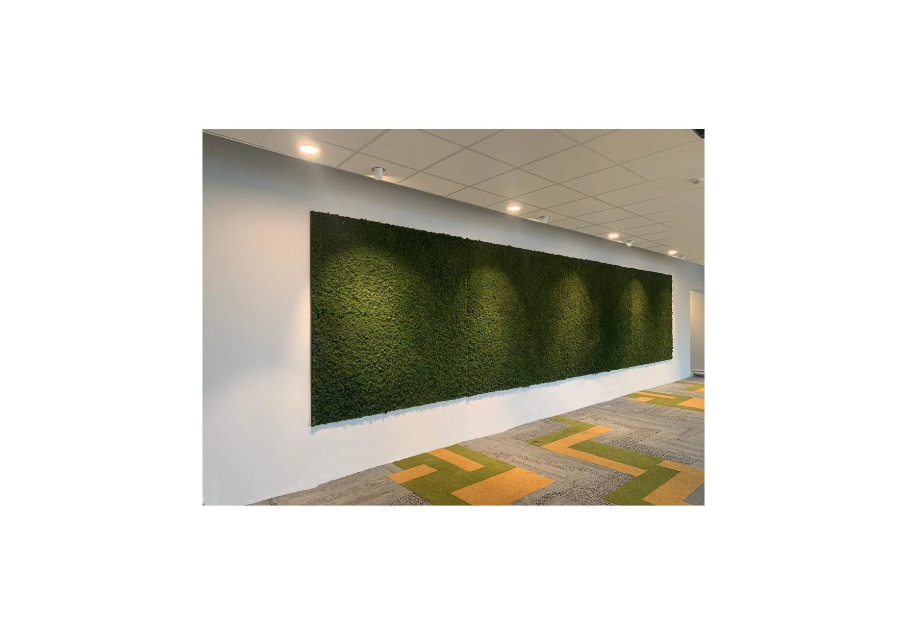 Nature at Home Tortvak Icemoss green - Afbeelding 3