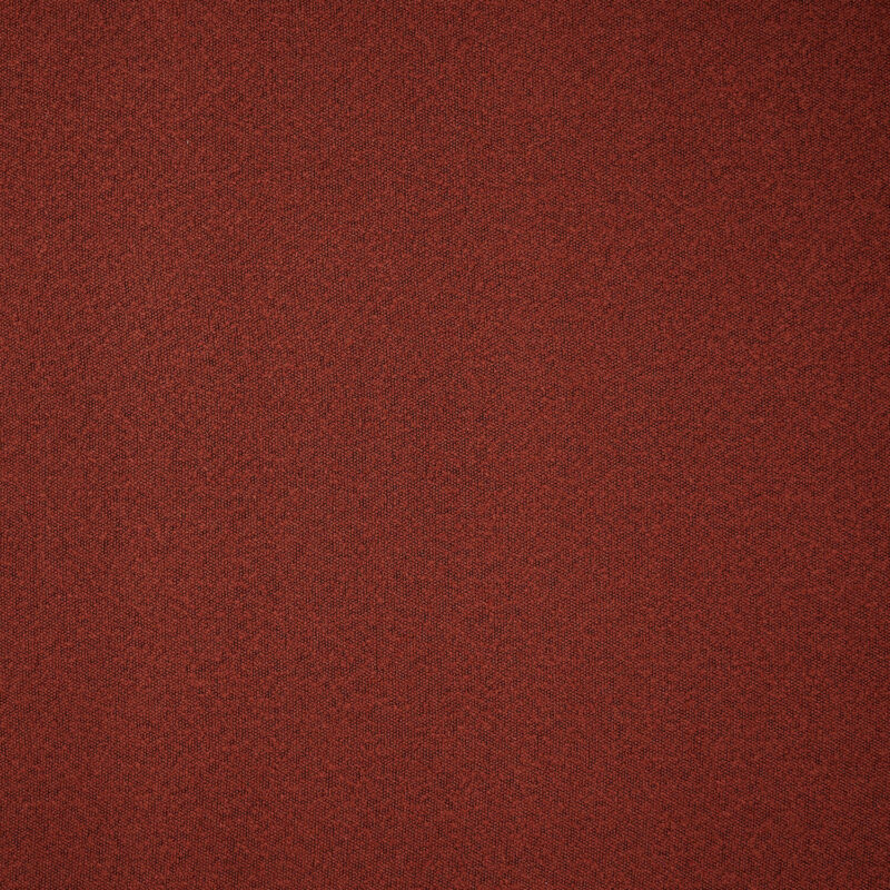 DWC Sponge Boucle 07