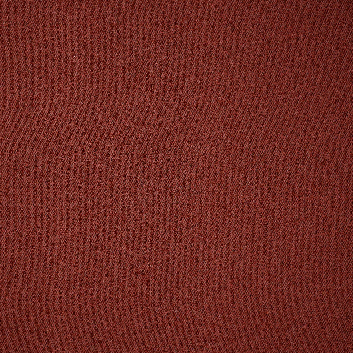 DWC Sponge Boucle 07