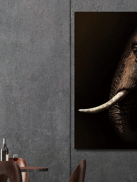 Glasschilderij 80x120cm Olifant mysterieus sfeer