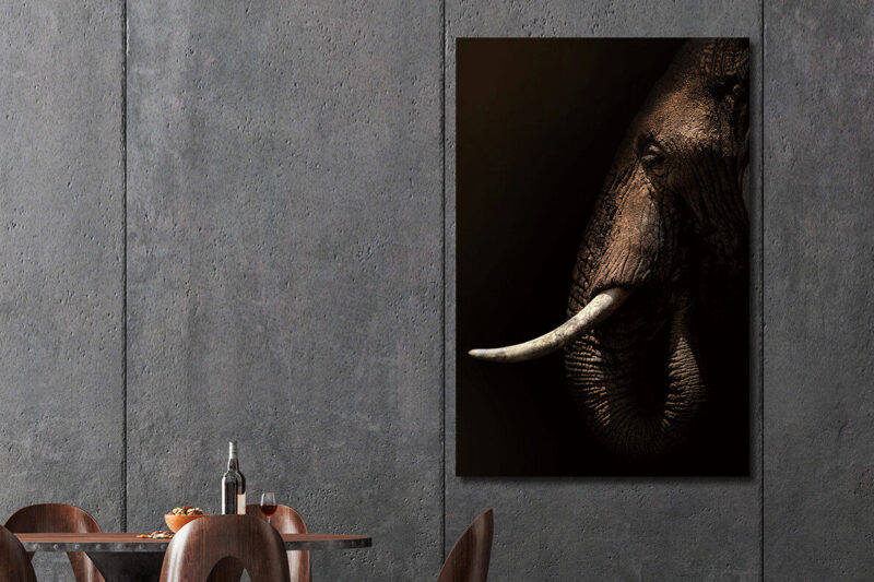 Glasschilderij 80x120cm Olifant mysterieus sfeer