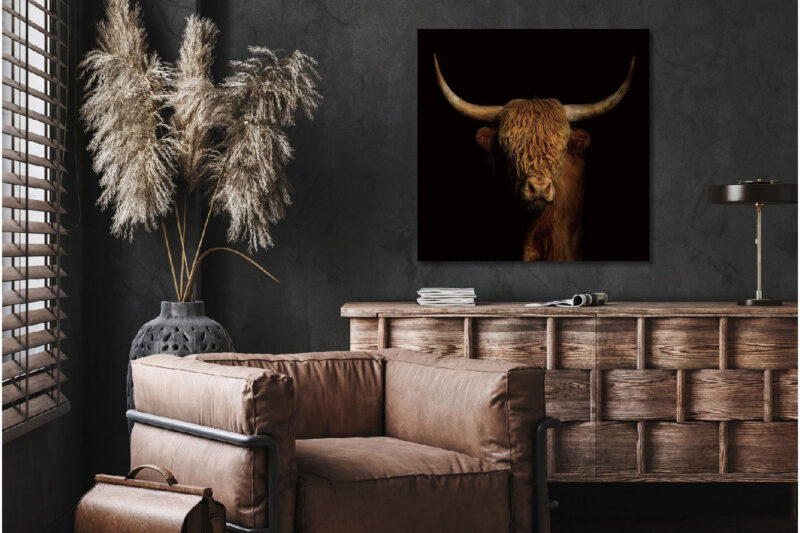 Glasschilderij 80x80cm Hooglander - Afbeelding 2