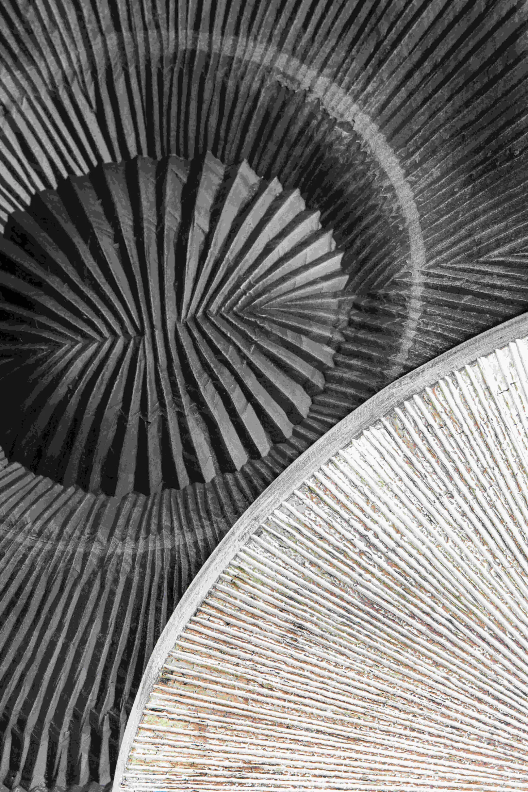 PTMD Wandbord Zapp geribbeld rond wandpaneel wit L - Afbeelding 5