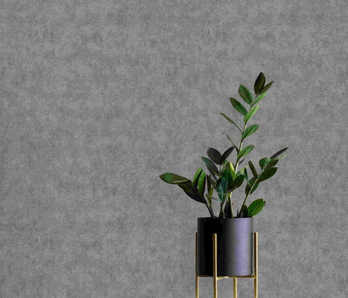 Dutch Wall Decor Elysium 10473-29 - Afbeelding 3