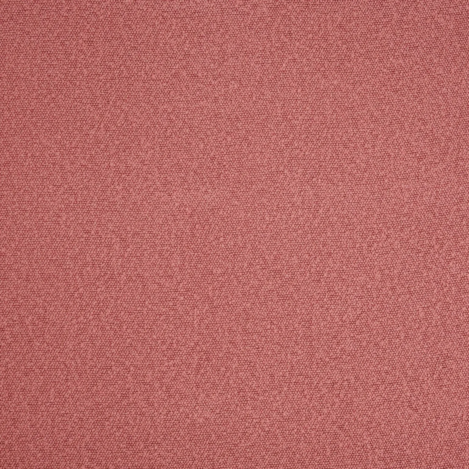 DWC Sponge Boucle 60