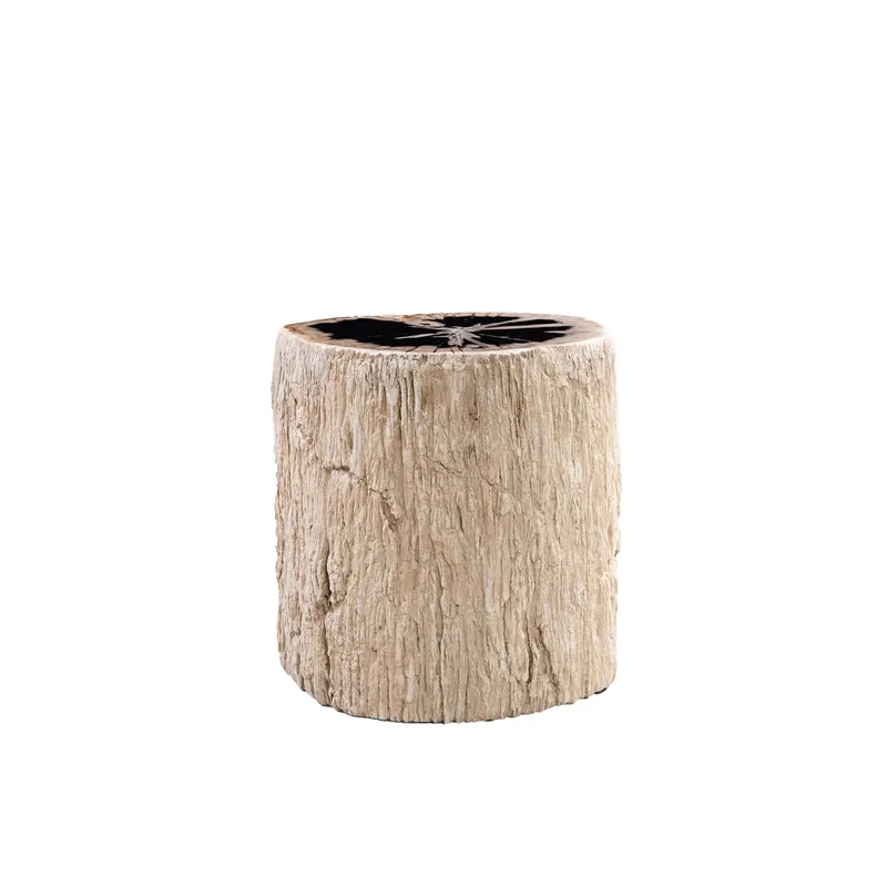 PTMD Taly Natural petrified wood fiberglass bijzettafel 30x40x45 cm - Afbeelding 3