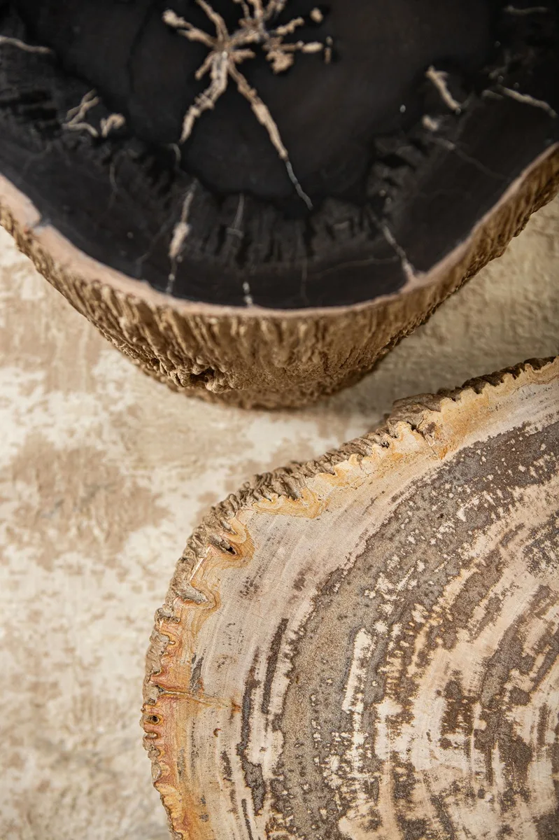 PTMD Taly Natural petrified wood fiberglass bijzettafel 30x40x45 cm - Afbeelding 4
