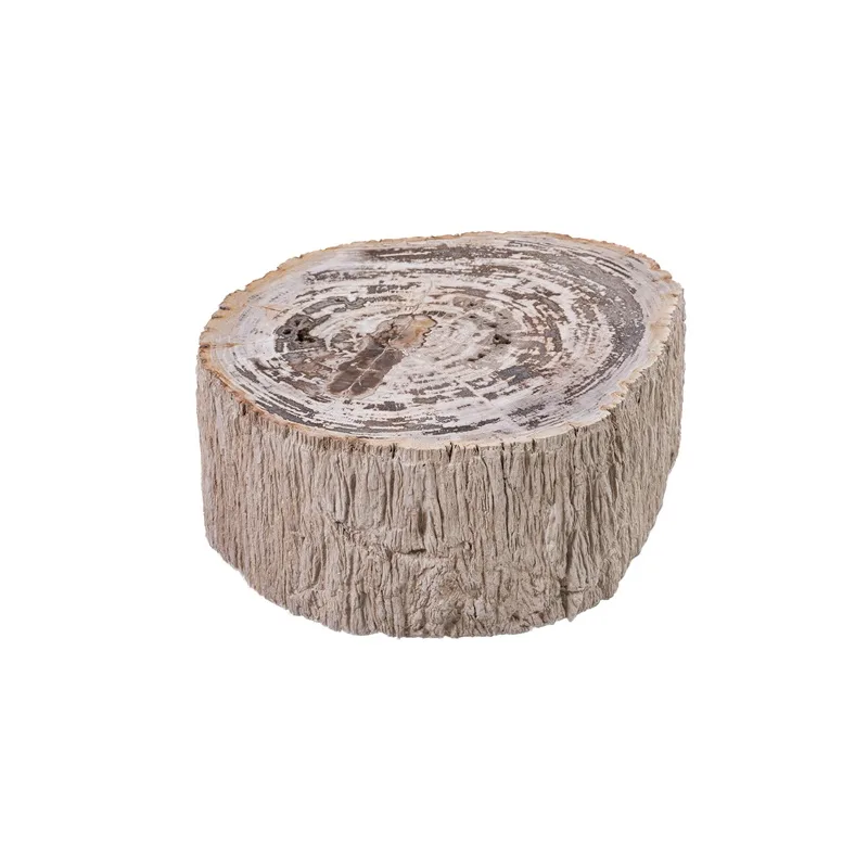 PTMD Natural petrified coffeetable fiberglass 60x70x28 cm - Afbeelding 3