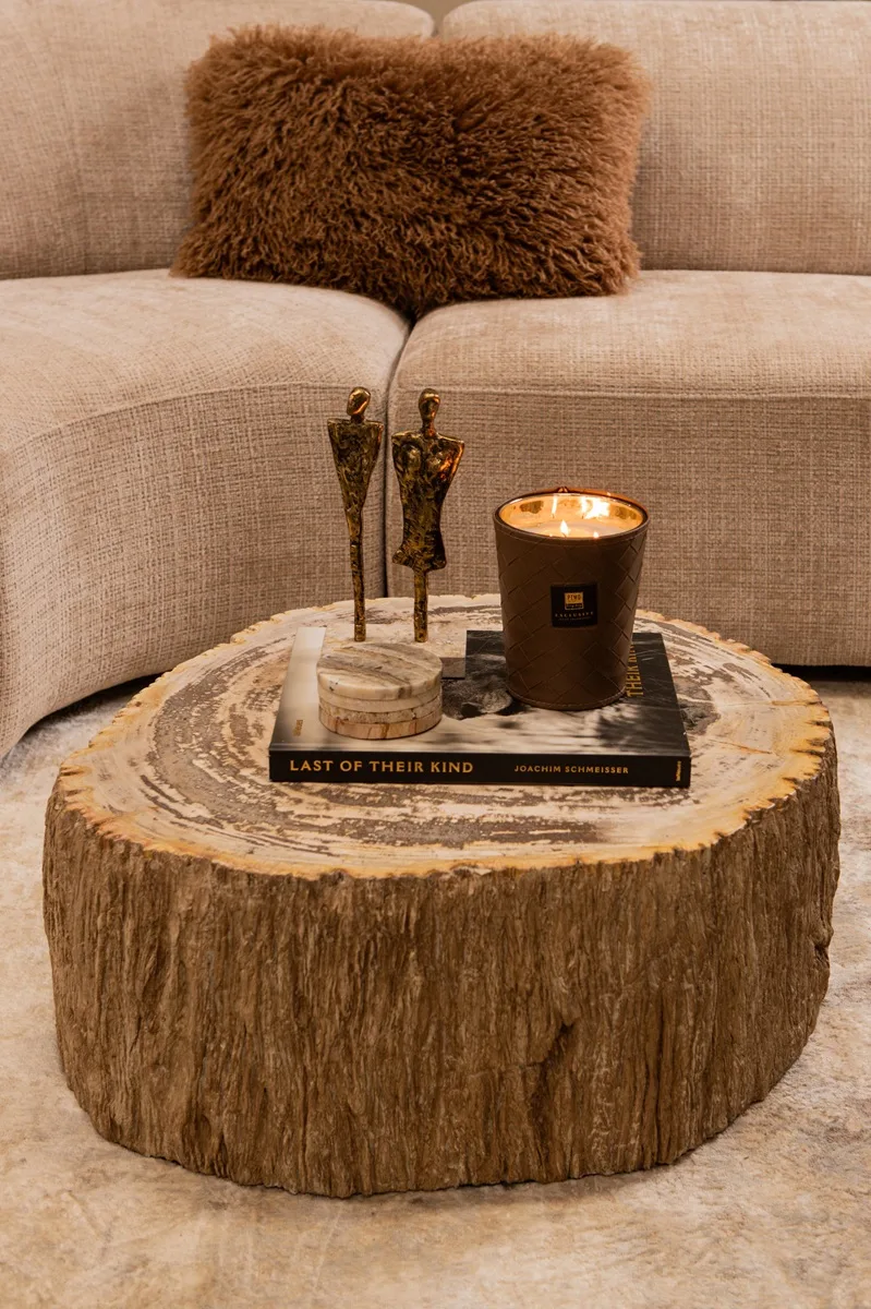 PTMD Natural petrified coffeetable fiberglass 60x70x28 cm - Afbeelding 2