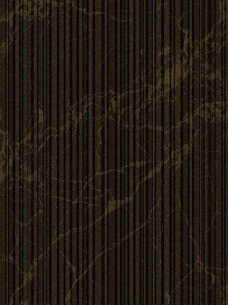 Dutch Wall Decor Philipp Plein Z81015