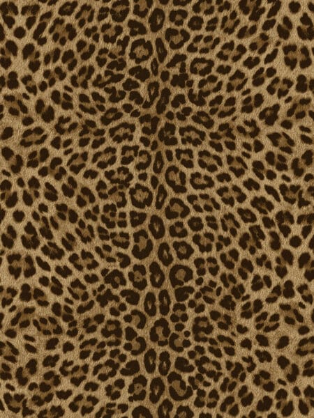 Dutch Wall Decor Philipp Plein Z81029