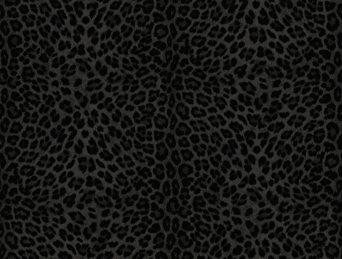 Dutch Wall Decor Philipp Plein Z81031