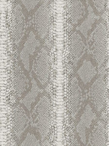 Dutch Wall Decor Philipp Plein Z81032