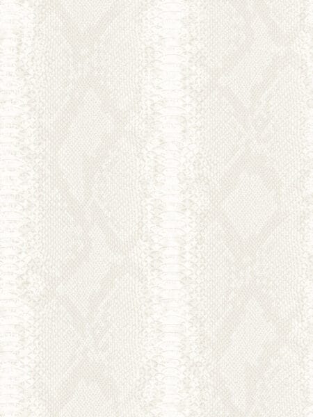 Dutch Wall Decor Philipp Plein Z81033