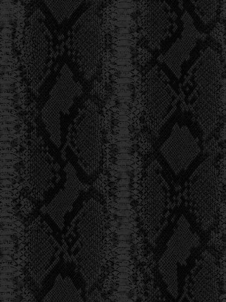Dutch Wall Decor Philipp Plein Z81034