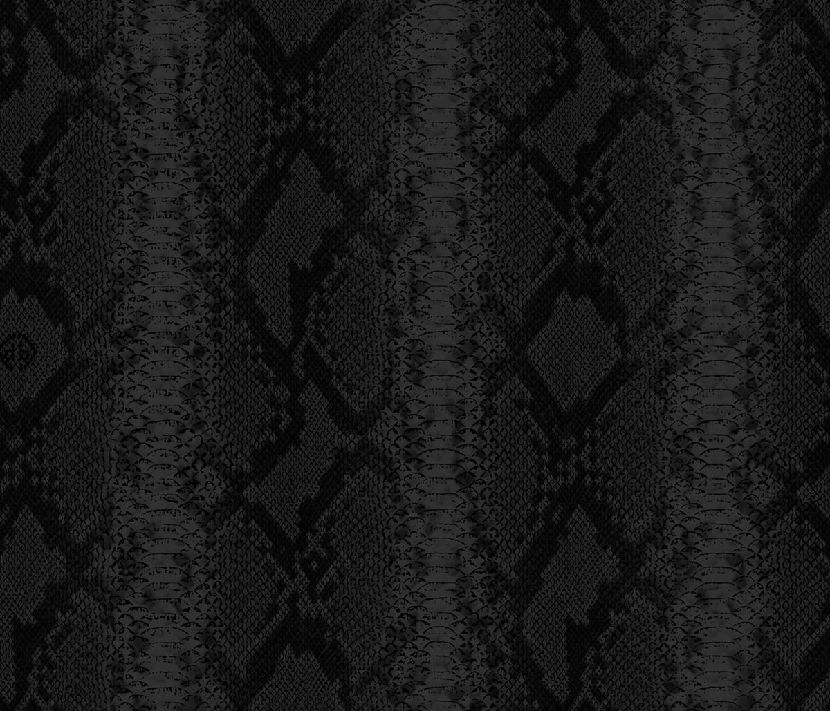 Dutch Wall Decor Philipp Plein Z81034