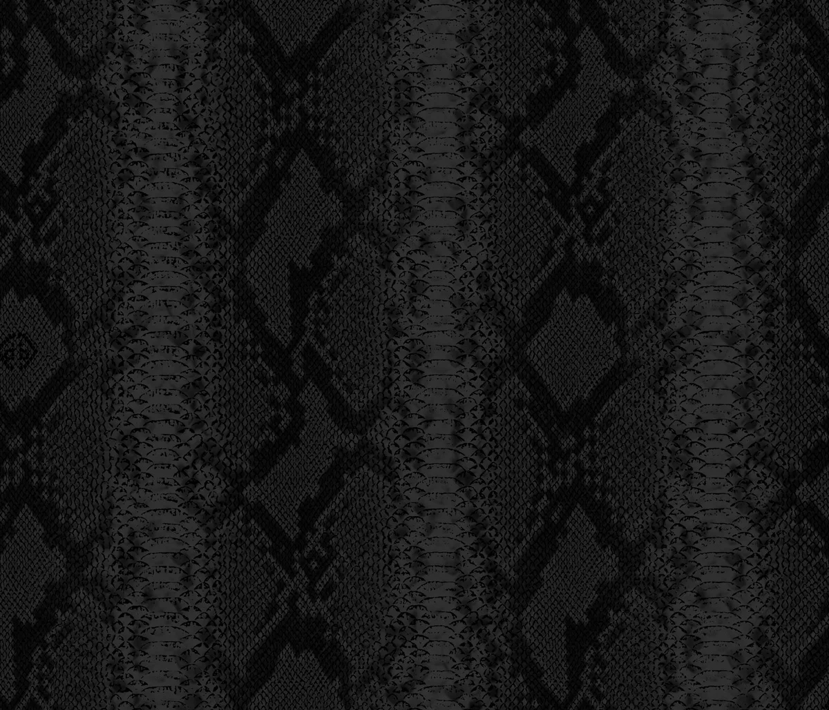 Dutch Wall Decor Philipp Plein Z81034