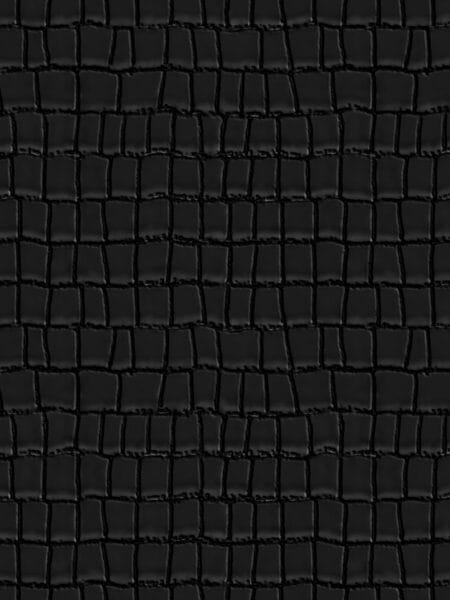 Dutch Wall Decor Philipp Plein Z81037