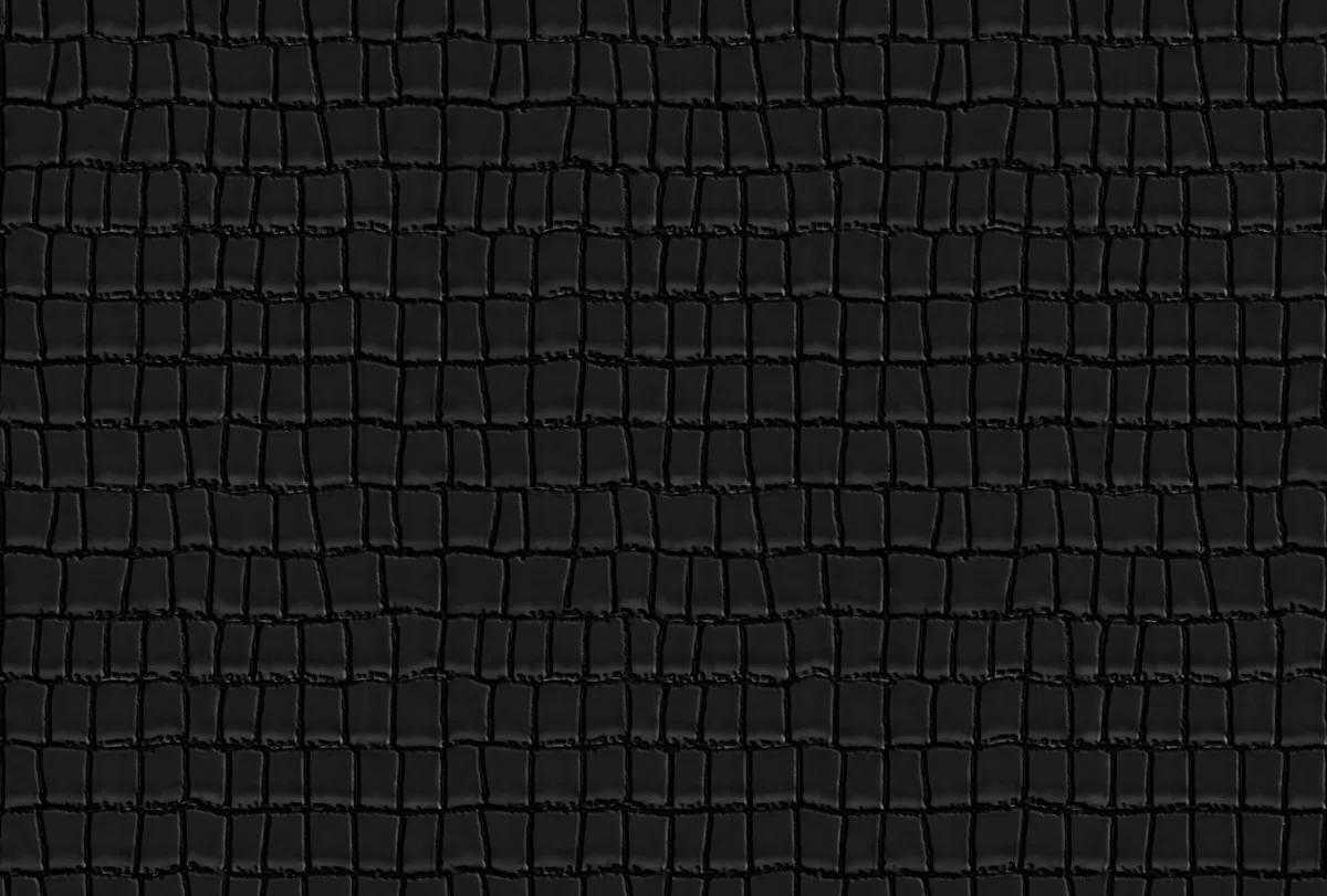 Dutch Wall Decor Philipp Plein Z81037